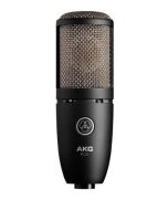 AKG P220 High-Performance Large Diaphragm True Condenser Microphone sku number 3101H00420