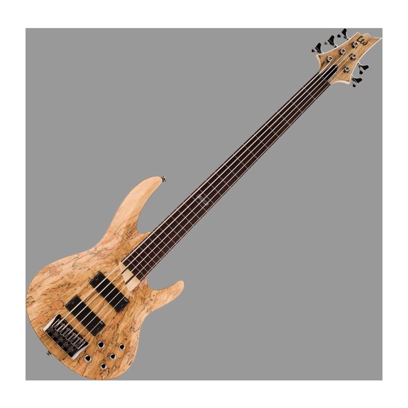 ESP LTD B-205SM Fretless Bass Guitar In Natural Stain Finish