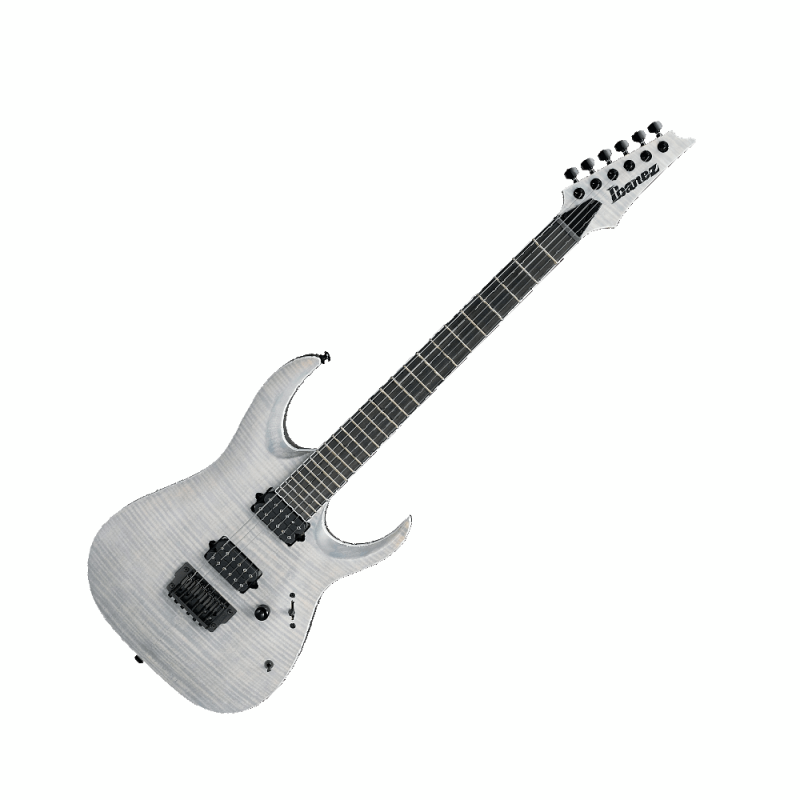Ibanez RGAIX6FM -WFF Iron Label Series Electric Guitar in White Frost Flat