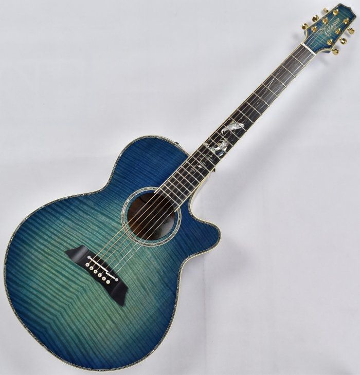 takamine ltd 2016 decoy price