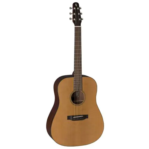 Baton Rouge L1C/D Dreadnought Guitar sku number 152320