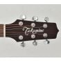 Takamine FT340 Limited Dreadnought Guitar B-Stock 0003 sku number TAKFT340.B0003