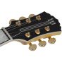 Wylde Audio Odin Grail Genesis Bullseye Electric Guitar sku number SCHECTER4513