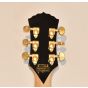 Wylde Audio Goregehn Blood River Burl Guitar B0122 sku number SCHECTER4578-B0122