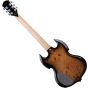 Wylde Audio IronWorks Barbarian Electric Guitar sku number SCHECTER4552